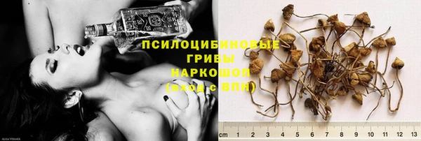 марки lsd Алексеевка