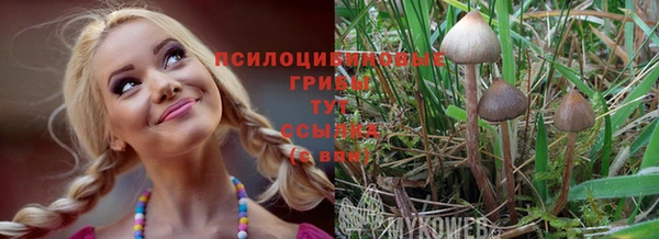мескалин Алзамай